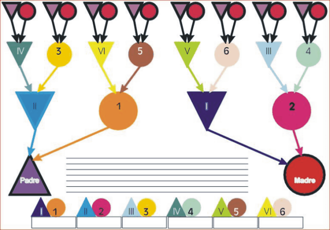 cronogenetica - www.scuoladirespiro.com