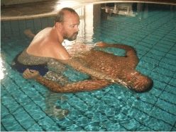 Seduta Coccoloterapia - www.scuoladirespiro.com Seduta Coccoloterapia - www.scuoladirespiro.com