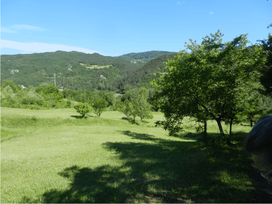 Colline Parma - www.scuoladirespiro.com